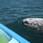 IMG 0001 2 (308)